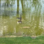 Au Bord De L'eau