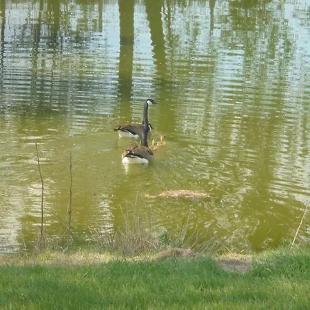 Au Bord De L'eau
